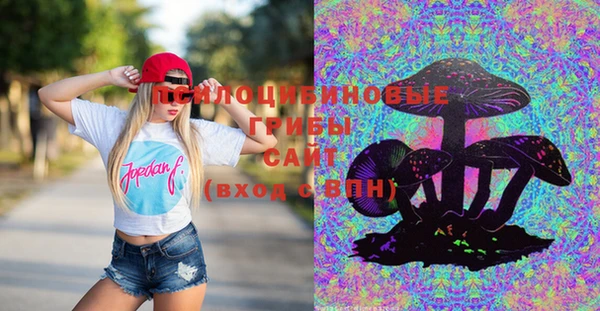 бошки Баксан