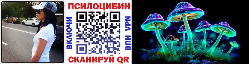 Купить  Дубна  Псилоцибиновые грибы Cubensis 